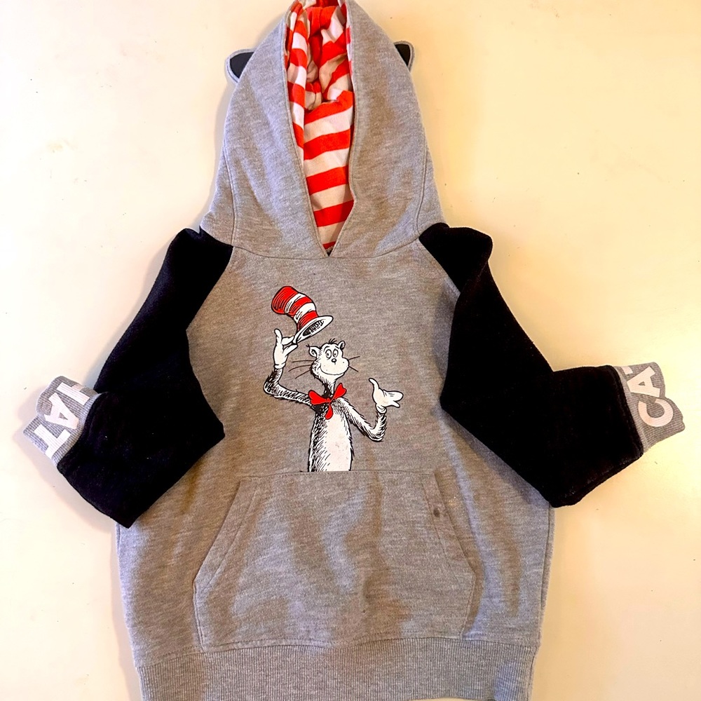 Cat in the hat hoodie